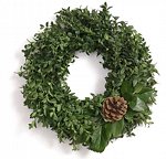 18" Fresh Wild Boxwood Wreath